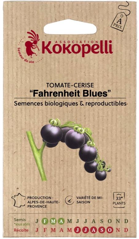 Tomate-cerise indigo Fahrenheit Blues