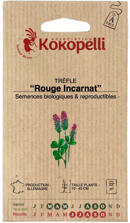 Trèfle rouge Incarnat