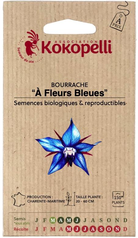 Bourrache à fleurs bleues