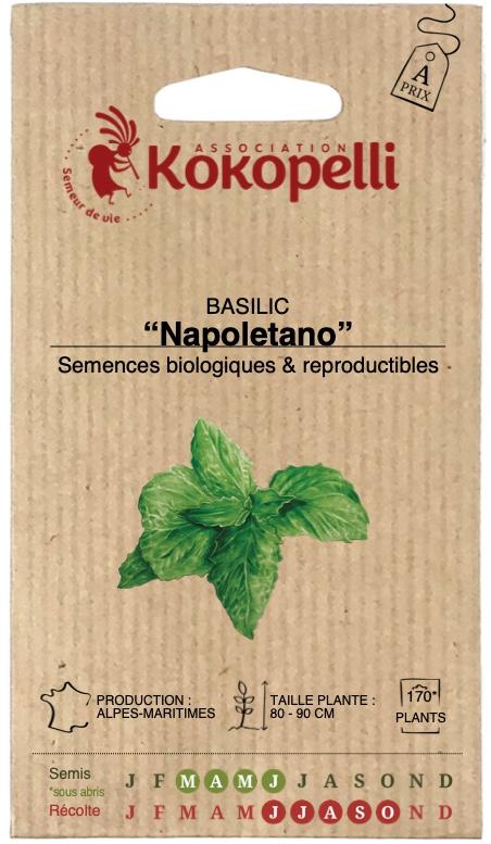 Basilic citron à petites feuilles