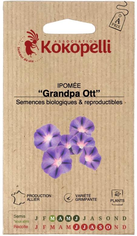 Ipomée Grandpa Ott