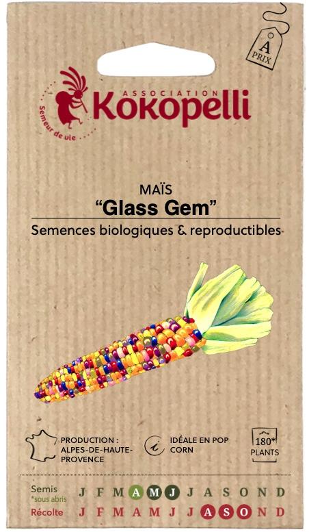 Maïs doux en mélange de couleurs Sweet Painted Hills