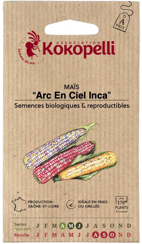 Mais doux Arc en ciel Inca