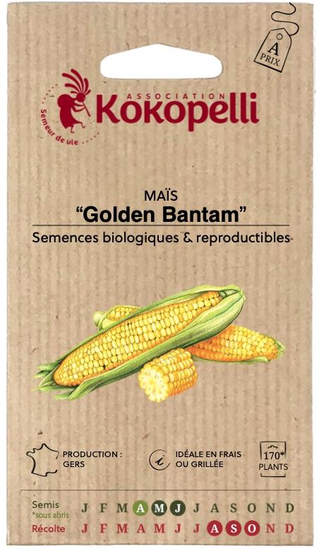 Mais doux jaune Golden Bantam