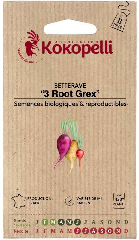 Betterave En mélange de couleurs 3 Root Rex