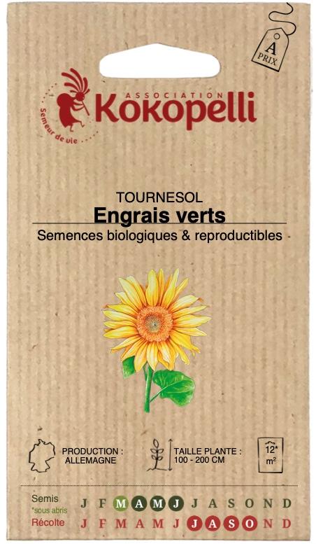 Tournesol engrais verts