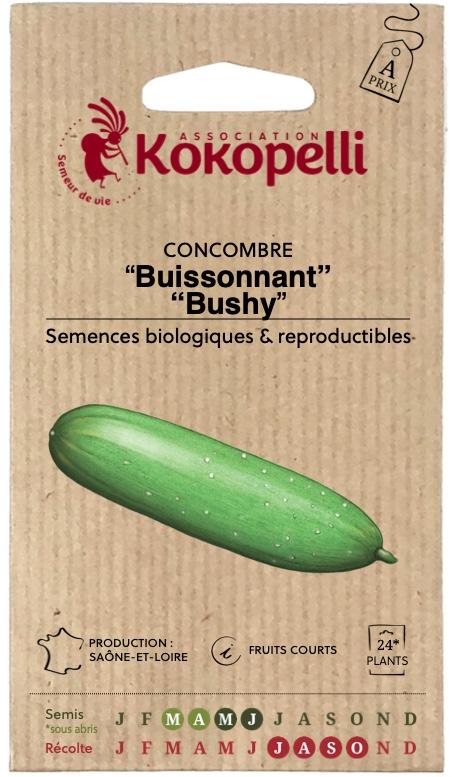 Concombre Buissonnant Bushy