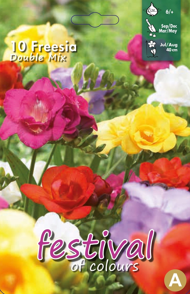 Freesia Mélange Doubles