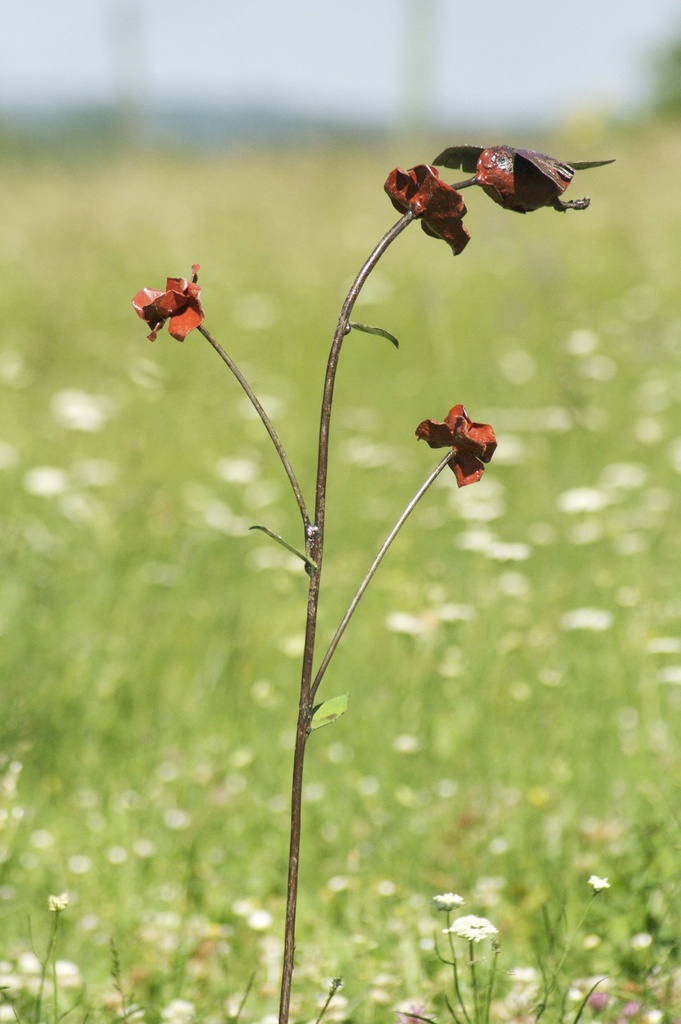 Tuteur 1 oiseau colibri + fleurs couleur