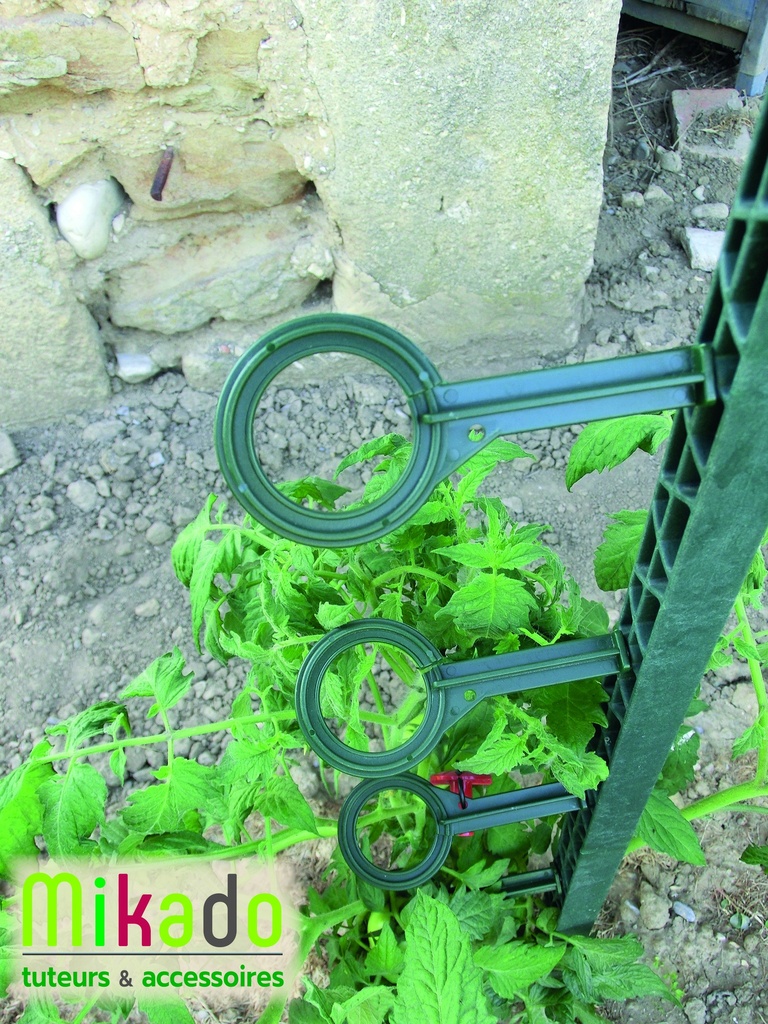 Attaches x6 pour tuteur à tomate Mikado