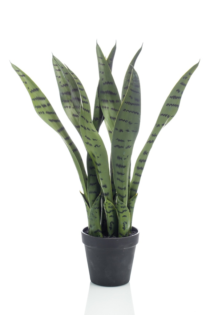 Sansevieria artificiel en pot