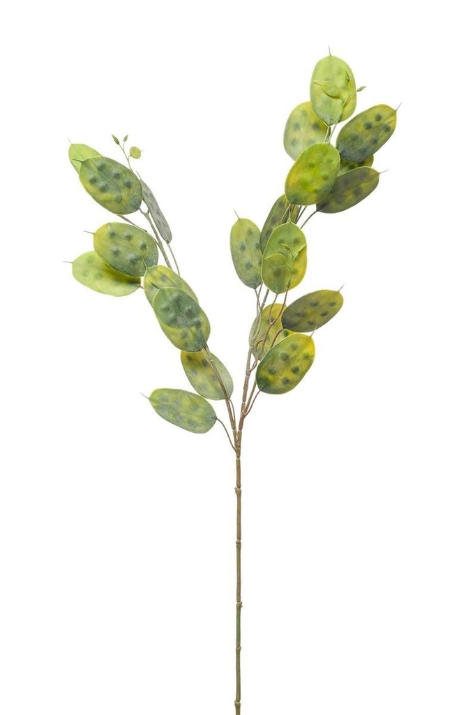 Lunaria en branche artificiel