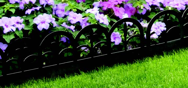 Bordurette droite en Lys