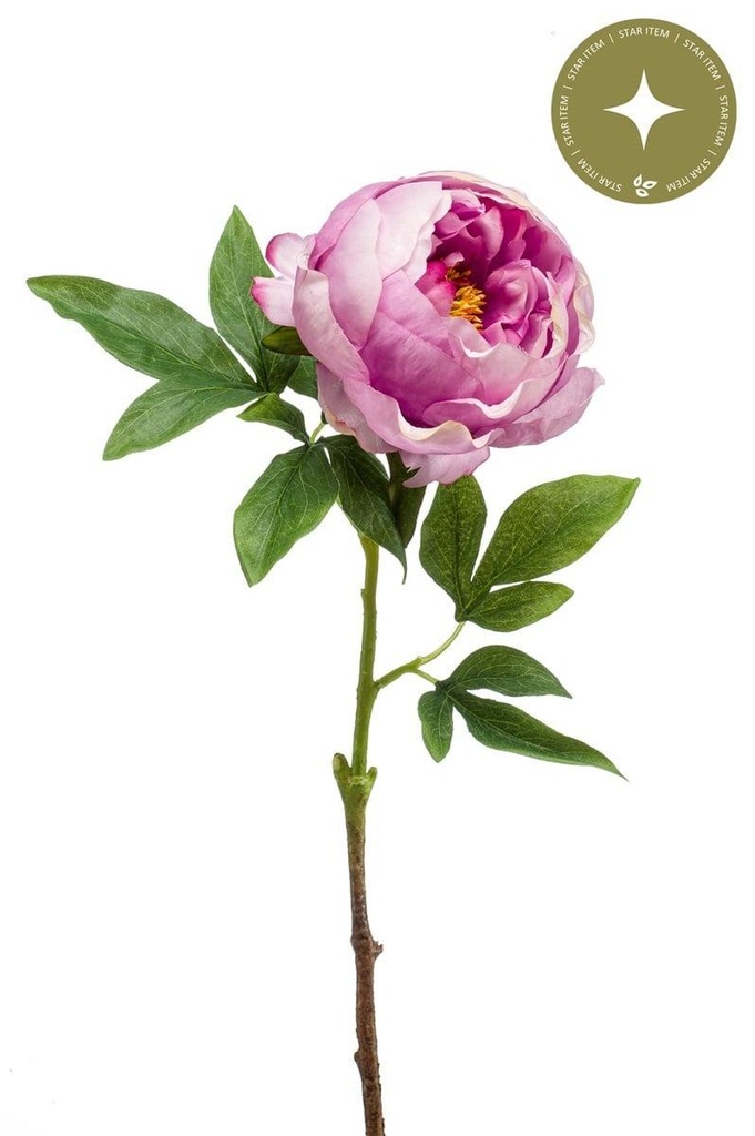 Pivoine en branche artificielle