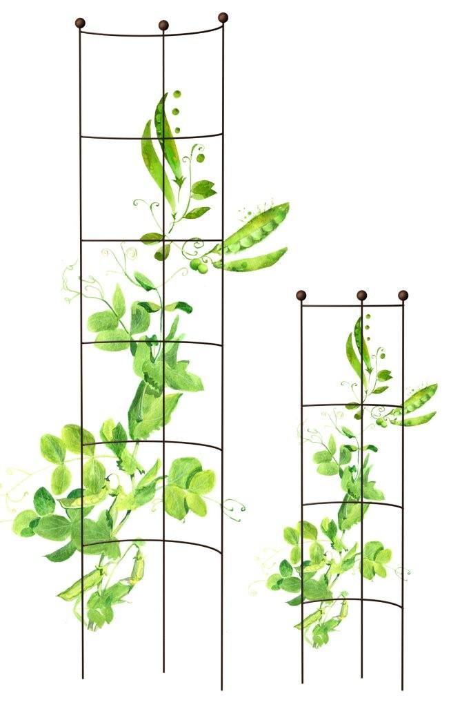 Petit treillis Rustic demi Rond