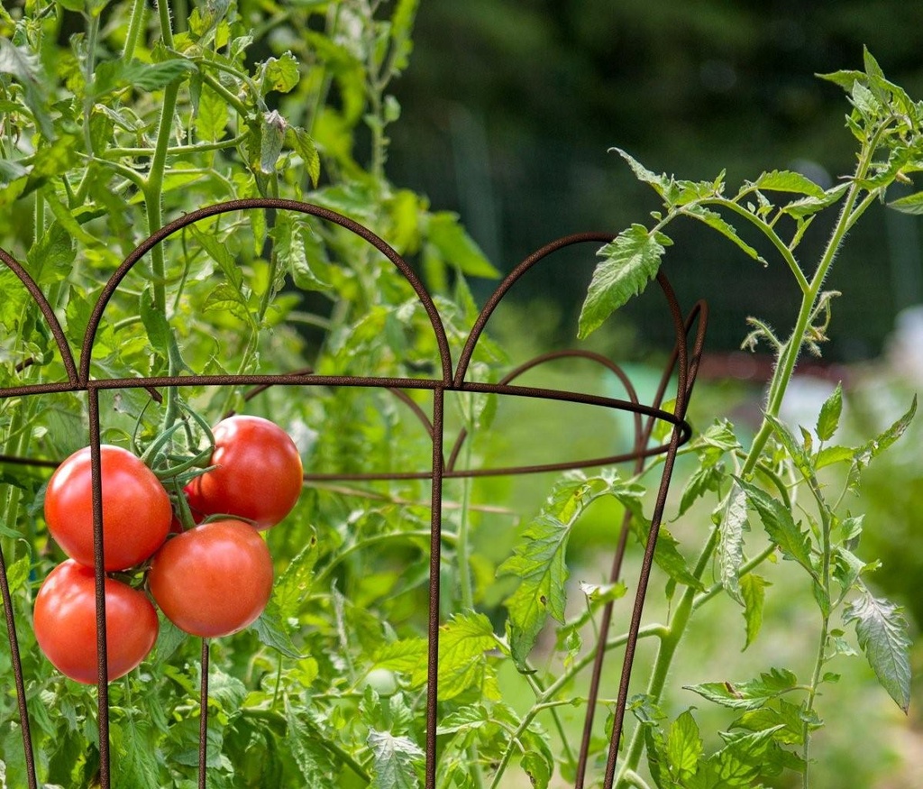 Petit Tuteur Rustic en Cône