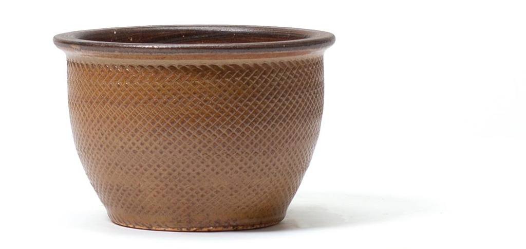 Pot Viper 23cm