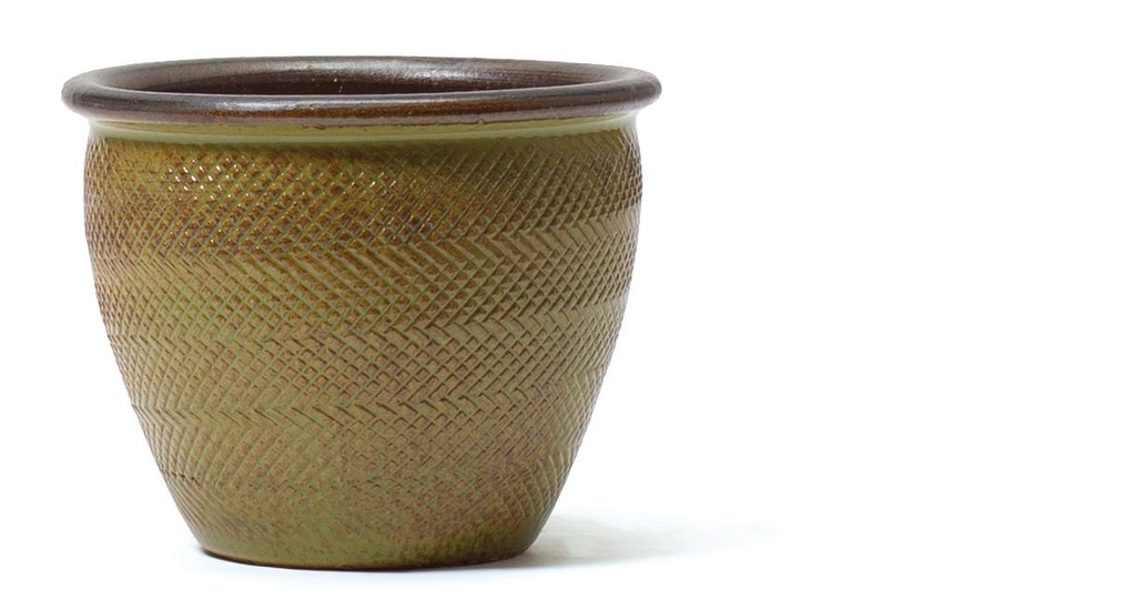 Pot Boa 25cm