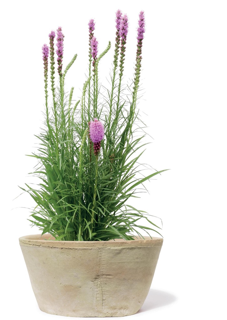 Pot Arrecife oval avec trou 20