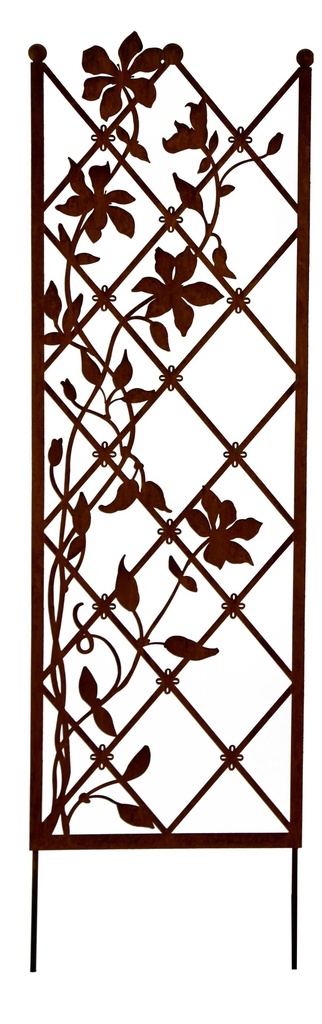 Treillis Clématis L