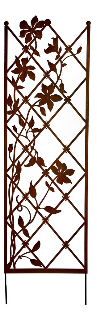 Treillis Clématis XL