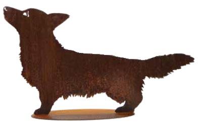 Chien Corgi avec découpes