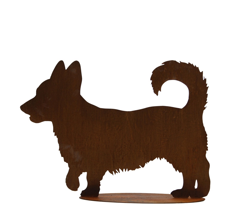 Chien Corgi RosaP Rosa