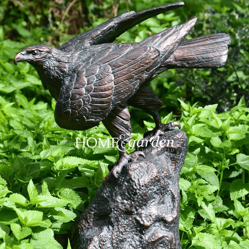 Aigle sur Rocher