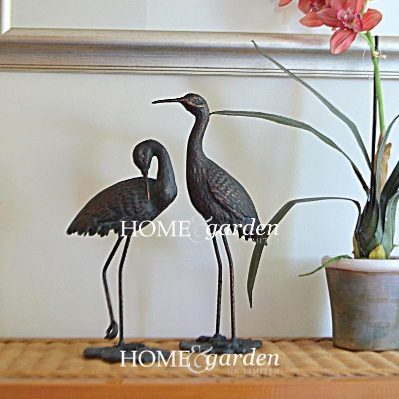 Petits échassier tête haute