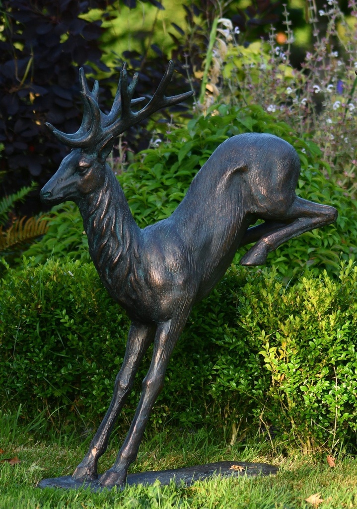 Grand Cerf Sautant