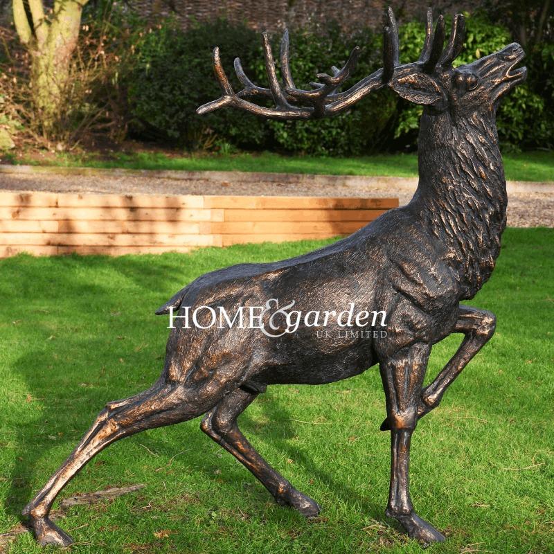 Grand Cerf Rouge