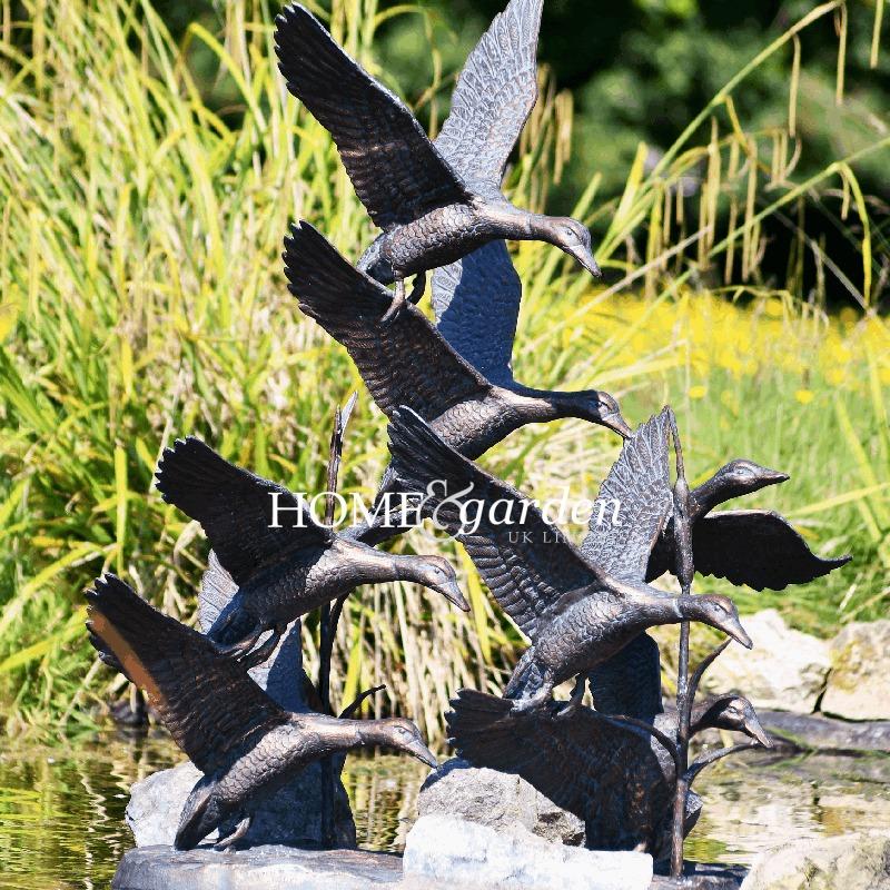 Volée de Canard
