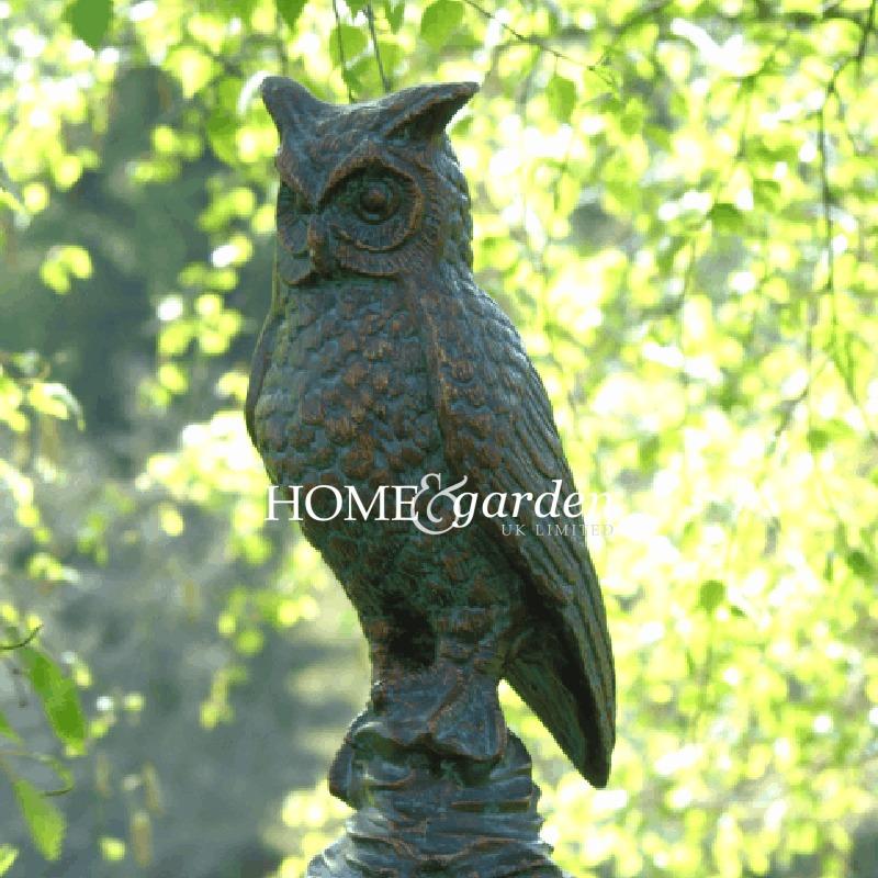 Hibou à Longues Oreilles