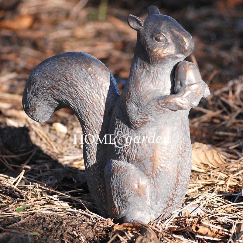 Écureuil Seul Assis