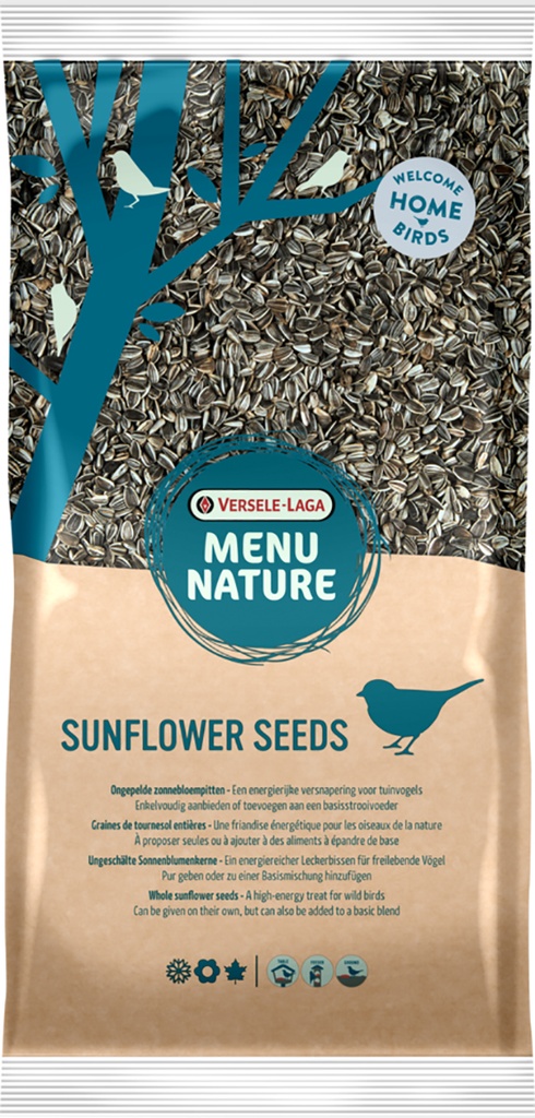 Graines de tournesol