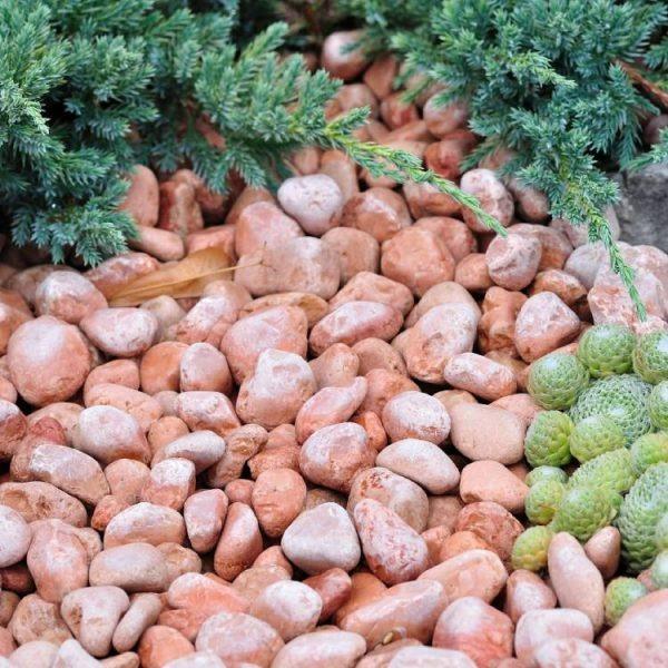 Galet Marbre Rouge 24/40 Sac 20 Kg (60)