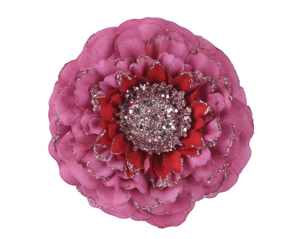 Zinnia bordeaux sur clip