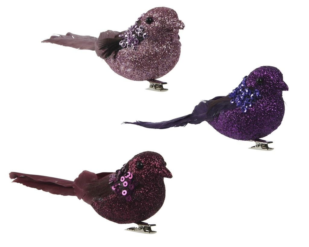 Oiseau sur clip