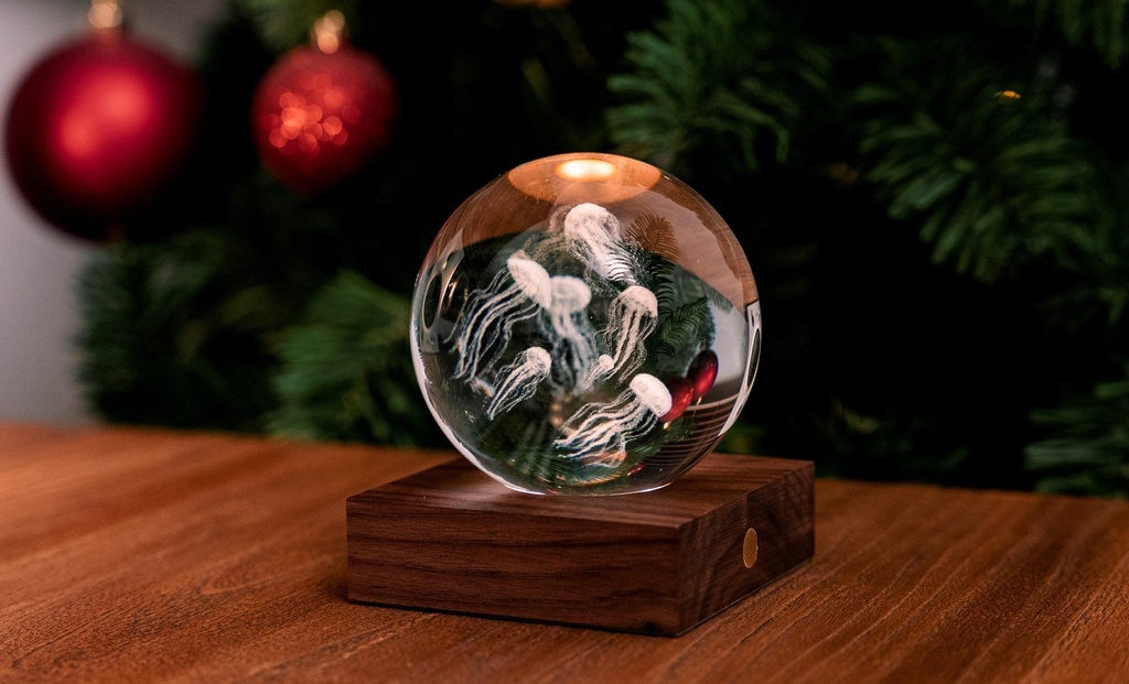 Lumière Cristal Ambre Méduses