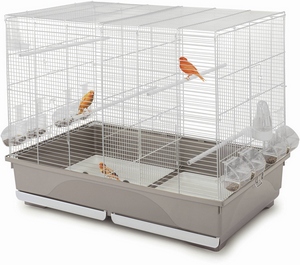 Cage  Tasha