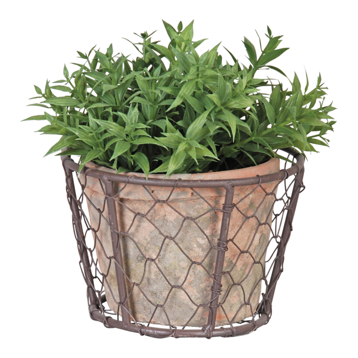 AT pot dans panier métal