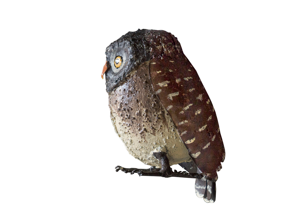 Chouette Chevechette