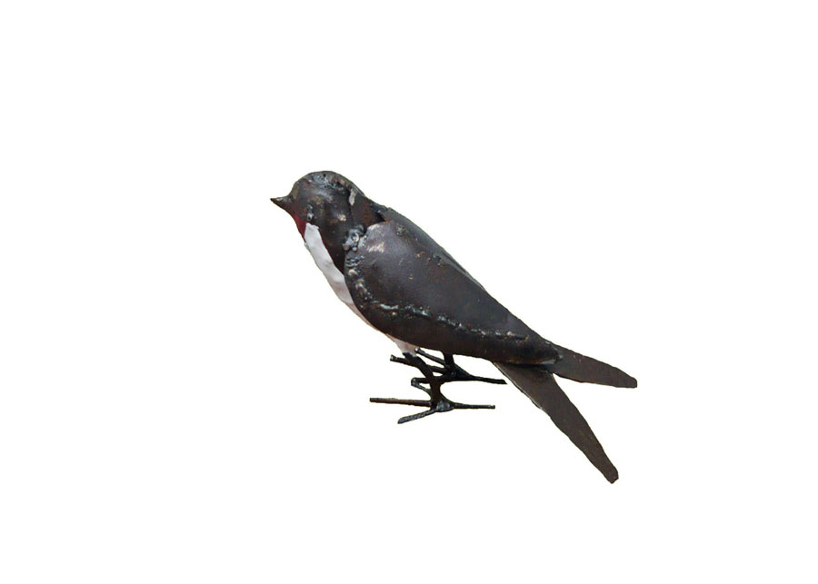 Hirondelle Ailes Fermées