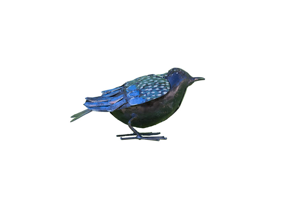 Etourneau