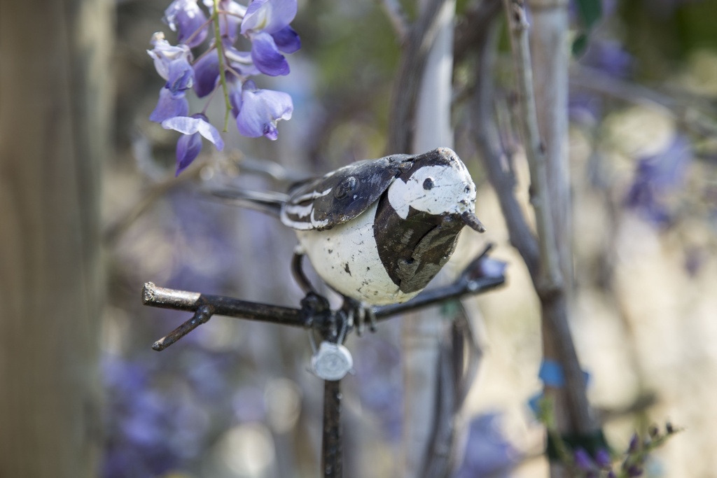 Tuteur Bergeronnette