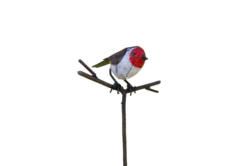 Tuteur Chardonneret Elegant