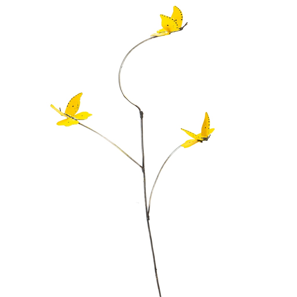 3 Papillons Citron de Provence
