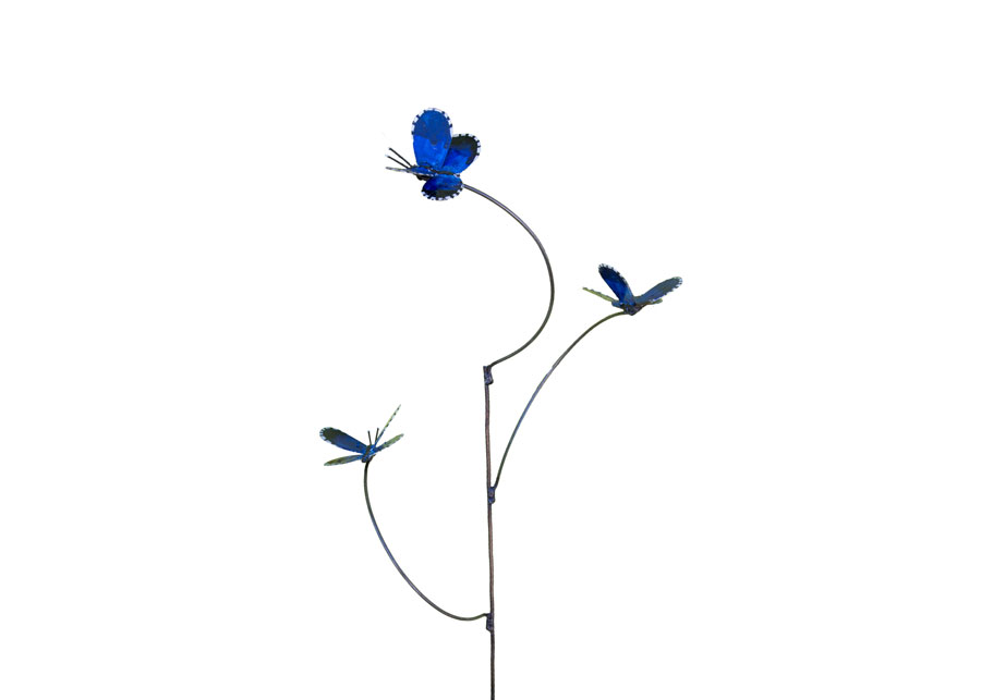 3 Papillons Azuré du Midi