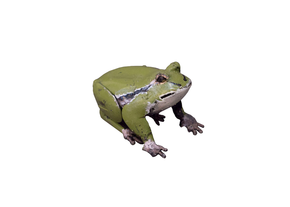 Grenouille Rainette