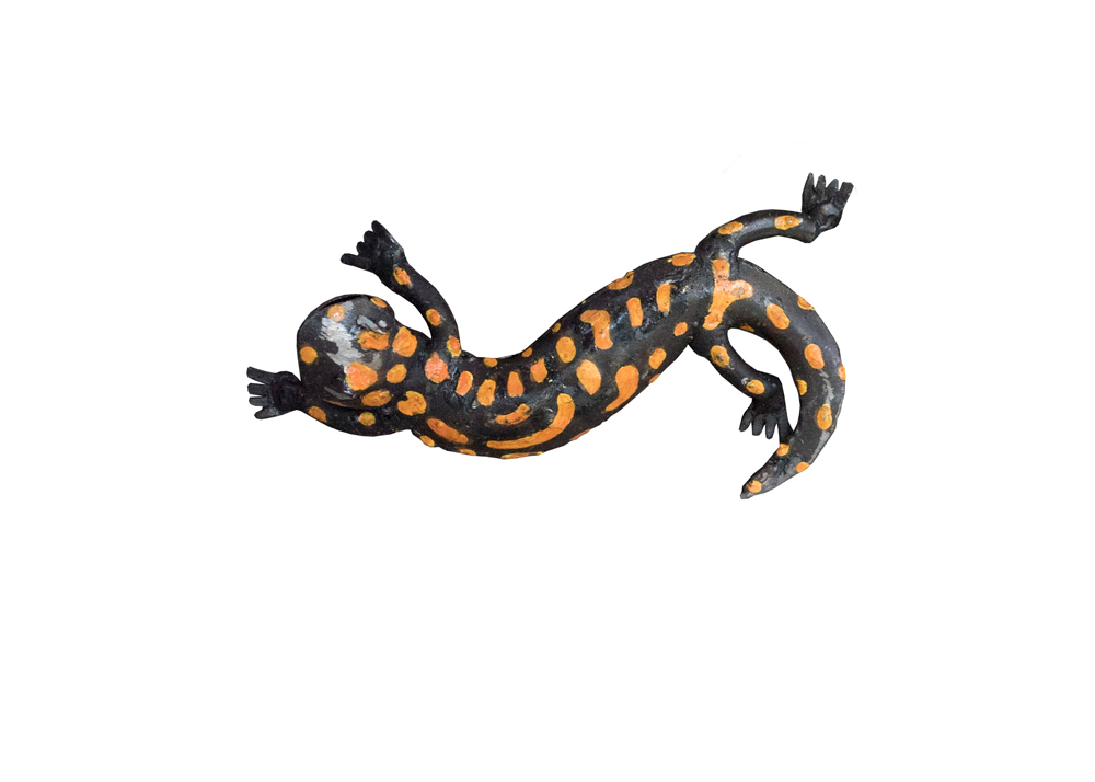 Salamandre